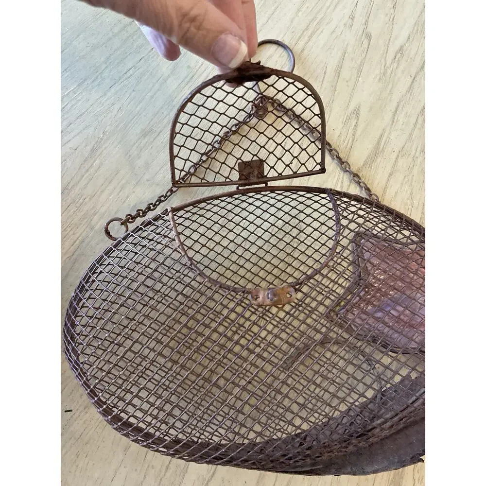 Evergreen Enterprises, Inc fox mesh